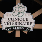 clinique_veterinaire_laurentie